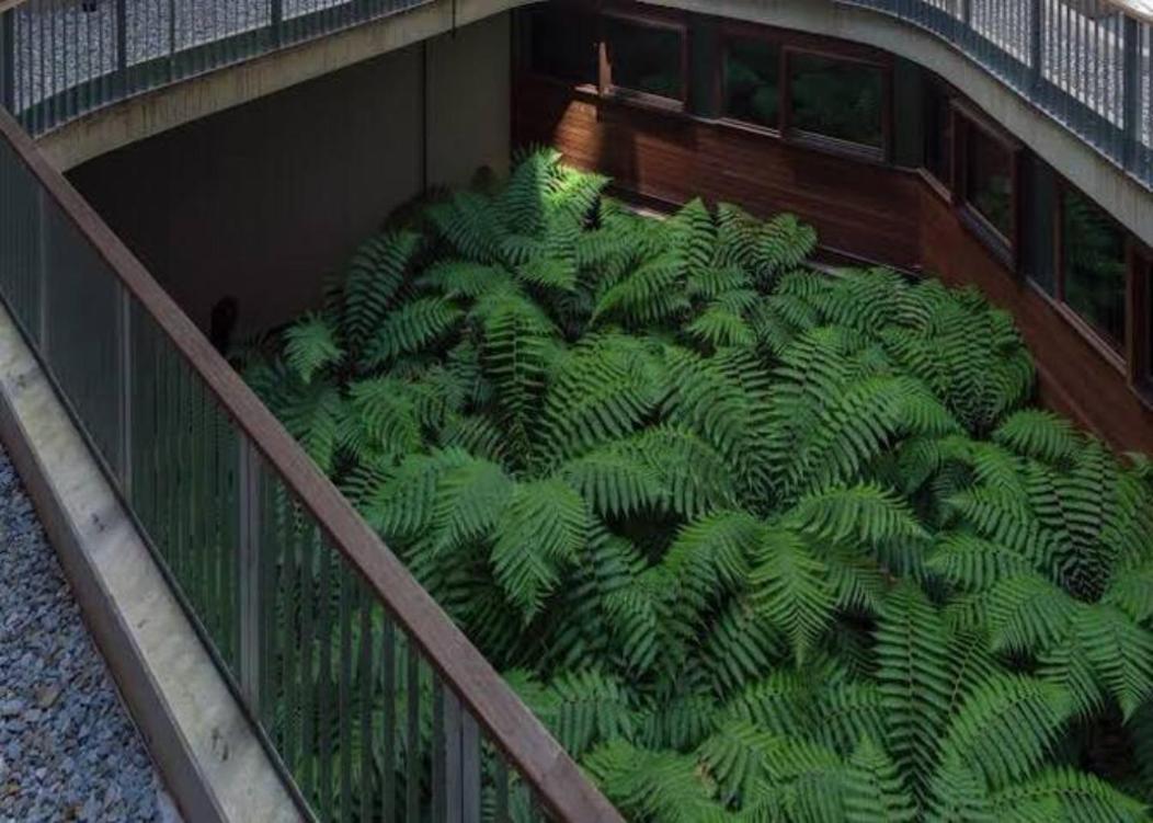 Nishi Holiday Apartments Canberra Exterior foto